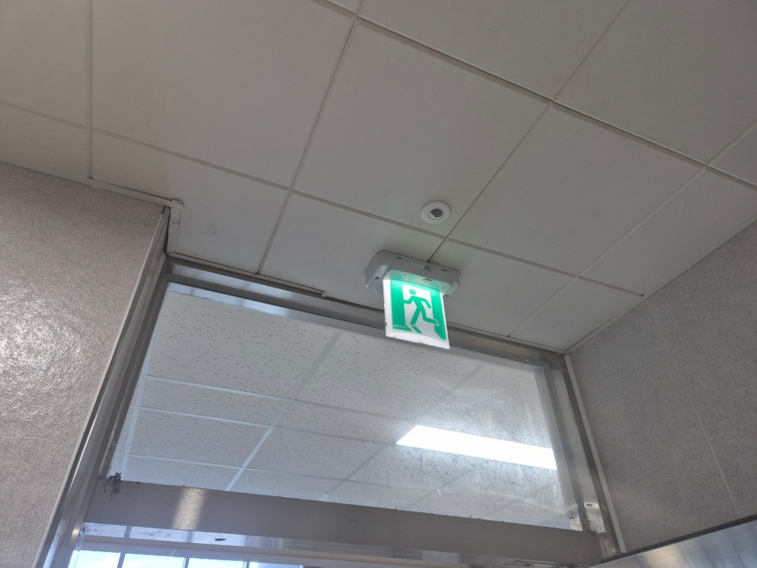 20250814_125011.jpg